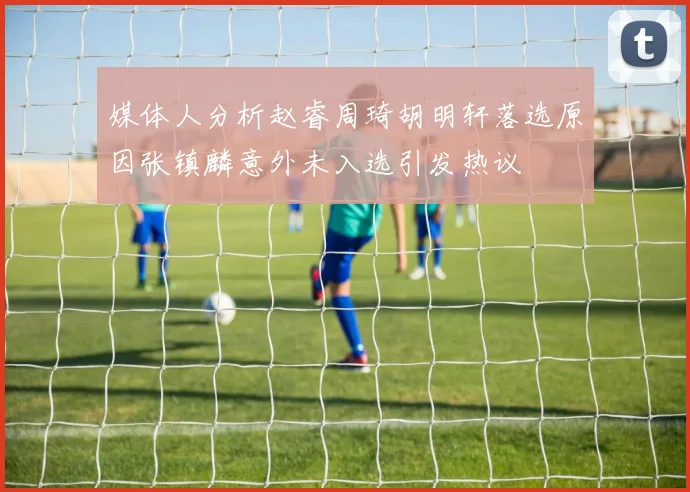 媒体人分析赵睿周琦胡明轩落选原因张镇麟意外未入选引发热议